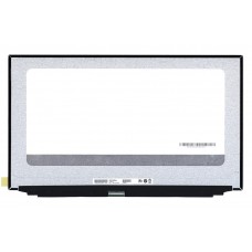 Матрица, экран, дисплей для ноутбука 17.3" B173ZAN03.3 3840x2160 (UHD), AHVA, 120Hz, 40pin eDP, Slim, Матовая