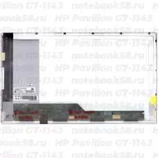 Матрица для ноутбука HP Pavilion G7-1143 (1600x900 HD+) TN, 40pin, Глянцевая