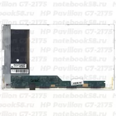 Матрица для ноутбука HP Pavilion G7-2175 (1600x900 HD+) TN, 40pin, Глянцевая