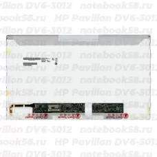 Матрица для ноутбука HP Pavilion DV6-3012 (1366x768 HD) TN, 40pin, Глянцевая
