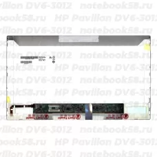 Матрица для ноутбука HP Pavilion DV6-3012 (1366x768 HD) TN, 40pin, Матовая