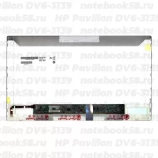 Матрица для ноутбука HP Pavilion DV6-3139 (1366x768 HD) TN, 40pin, Матовая