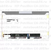 Матрица для ноутбука HP Pavilion G6-2051er (1366x768 HD) TN, 40pin, Глянцевая