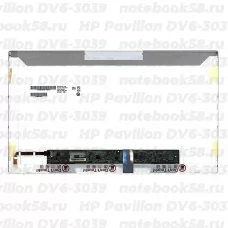 Матрица для ноутбука HP Pavilion DV6-3039 (1366x768 HD) TN, 40pin, Глянцевая