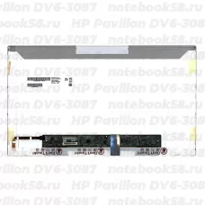 Матрица для ноутбука HP Pavilion DV6-3087 (1366x768 HD) TN, 40pin, Глянцевая