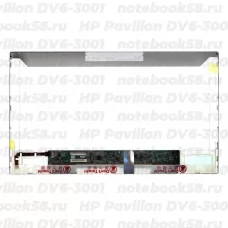 Матрица для ноутбука HP Pavilion DV6-3001 (1366x768 HD) TN, 40pin, Матовая