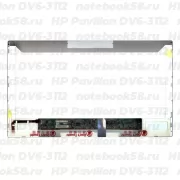 Матрица для ноутбука HP Pavilion DV6-3112 (1366x768 HD) TN, 40pin, Матовая