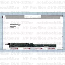 Матрица для ноутбука HP Pavilion DV6-3131nr (1366x768 HD) TN, 40pin, Матовая