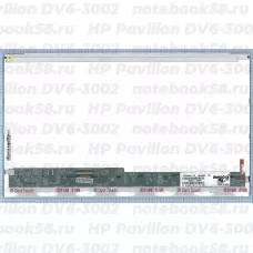 Матрица для ноутбука HP Pavilion DV6-3002 (1366x768 HD) TN, 40pin, Глянцевая