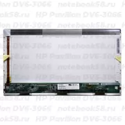 Матрица для ноутбука HP Pavilion DV6-3066 (1366x768 HD) TN, 40pin, Глянцевая