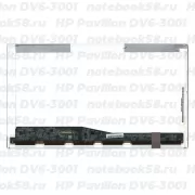 Матрица для ноутбука HP Pavilion DV6-3001 (1366x768 HD) TN, 40pin, Глянцевая