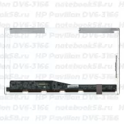 Матрица для ноутбука HP Pavilion DV6-3166 (1366x768 HD) TN, 40pin, Глянцевая