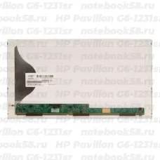 Матрица для ноутбука HP Pavilion G6-1231sr (1366x768 HD) TN, 40pin, Матовая