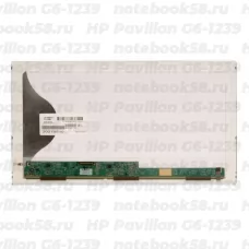 Матрица для ноутбука HP Pavilion G6-1239 (1366x768 HD) TN, 40pin, Матовая