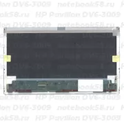 Матрица для ноутбука HP Pavilion DV6-3009 (1366x768 HD) TN, 40pin, Матовая