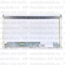 Матрица для ноутбука HP Pavilion G6-1a75 (1366x768 HD) TN, 40pin, Матовая