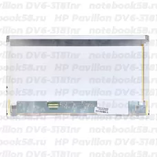 Матрица для ноутбука HP Pavilion DV6-3181nr (1366x768 HD) TN, 40pin, Матовая