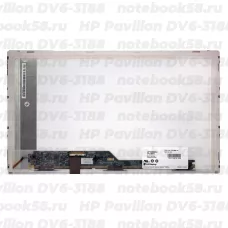 Матрица для ноутбука HP Pavilion DV6-3188 (1366x768 HD) TN, 40pin, Матовая