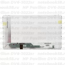 Матрица для ноутбука HP Pavilion DV6-3022sr (1366x768 HD) TN, 40pin, Глянцевая