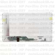 Матрица для ноутбука HP Pavilion DV6-3187 (1366x768 HD) TN, 40pin, Глянцевая