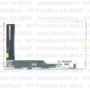 Матрица для ноутбука HP Pavilion G6-2043 (1366x768 HD) TN, 40pin, Матовая