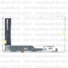 Матрица для ноутбука HP Pavilion DV6-3143 (1366x768 HD) TN, 40pin, Матовая