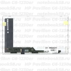 Матрица для ноутбука HP Pavilion G6-1230er (1366x768 HD) TN, 40pin, Глянцевая