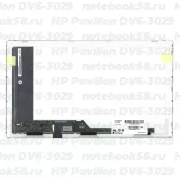 Матрица для ноутбука HP Pavilion DV6-3029 (1366x768 HD) TN, 40pin, Глянцевая