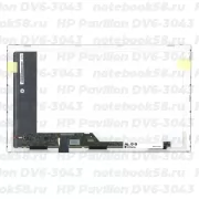 Матрица для ноутбука HP Pavilion DV6-3043 (1366x768 HD) TN, 40pin, Матовая