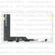 Матрица для ноутбука HP Pavilion DV6-3101er (1366x768 HD) TN, 40pin, Матовая