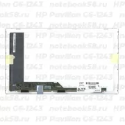 Матрица для ноутбука HP Pavilion G6-1243 (1366x768 HD) TN, 40pin, Глянцевая