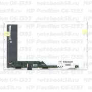 Матрица для ноутбука HP Pavilion G6-1393 (1366x768 HD) TN, 40pin, Глянцевая