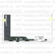 Матрица для ноутбука HP Pavilion DV6-3167 (1366x768 HD) TN, 40pin, Глянцевая