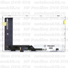 Матрица для ноутбука HP Pavilion DV6-3116 (1366x768 HD) TN, 40pin, Матовая