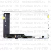 Матрица для ноутбука HP Pavilion DV6-3113 (1366x768 HD) TN, 40pin, Матовая