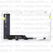 Матрица для ноутбука HP Pavilion DV6-3166 (1366x768 HD) TN, 40pin, Матовая