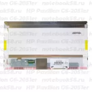 Матрица для ноутбука HP Pavilion G6-2051er (1366x768 HD) TN, 40pin, Глянцевая