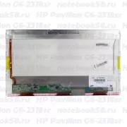 Матрица для ноутбука HP Pavilion G6-2318sr (1366x768 HD) TN, 40pin, Глянцевая