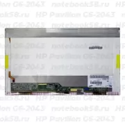 Матрица для ноутбука HP Pavilion G6-2043 (1366x768 HD) TN, 40pin, Глянцевая