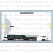 Матрица для ноутбука HP Pavilion DV6-3100 (1366x768 HD) TN, 40pin, Матовая