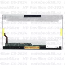 Матрица для ноутбука HP Pavilion G6-2024 (1366x768 HD) TN, 40pin, Глянцевая