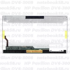 Матрица для ноутбука HP Pavilion DV6-3008 (1366x768 HD) TN, 40pin, Глянцевая