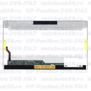 Матрица для ноутбука HP Pavilion DV6-3143 (1366x768 HD) TN, 40pin, Глянцевая