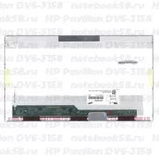 Матрица для ноутбука HP Pavilion DV6-3158 (1366x768 HD) TN, 40pin, Глянцевая