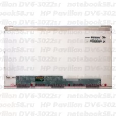 Матрица для ноутбука HP Pavilion DV6-3022sr (1366x768 HD) TN, 40pin, Матовая