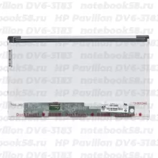 Матрица для ноутбука HP Pavilion DV6-3183 (1366x768 HD) TN, 40pin, Матовая