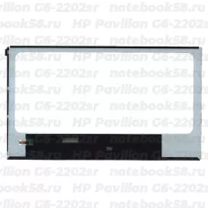 Матрица для ноутбука HP Pavilion G6-2202sr (1366x768 HD) TN, 40pin, Глянцевая