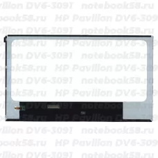 Матрица для ноутбука HP Pavilion DV6-3091 (1366x768 HD) TN, 40pin, Глянцевая