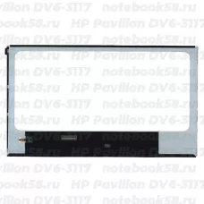 Матрица для ноутбука HP Pavilion DV6-3117 (1366x768 HD) TN, 40pin, Глянцевая