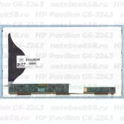 Матрица для ноутбука HP Pavilion G6-2243 (1366x768 HD) TN, 40pin, Матовая
